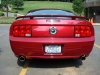 mustang4.JPG