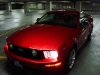 mustang6.JPG