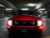 mustang7.JPG