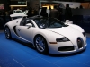 Bugatti_Veyron_Grand_Sport_(1).JPG
