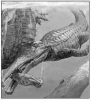 Sarcosuchus_imperator.jpg